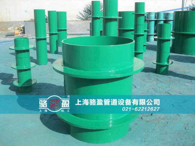 雙翼環(huán)剛性<a href=http://www.www.hellowinter.com.cn target=_blank class=infotextkey>防水套管</a>